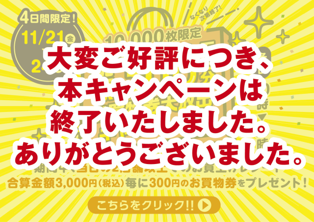 大放出キャンペーンは終了しました